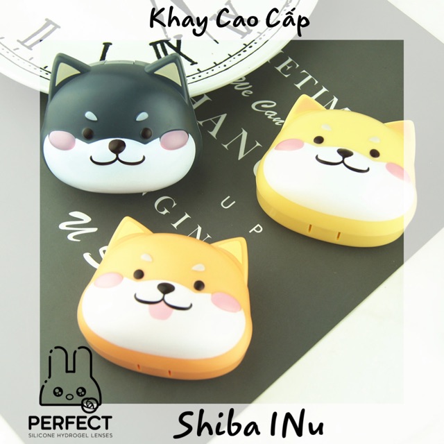 Khay Cao Cấp Shiba INu - Khay đựng kính Áp Tròng