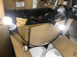Đèn trần led hoa