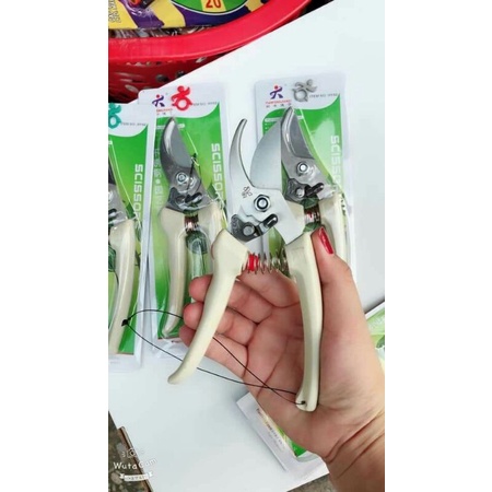 Kéo cắt cành,cắt gà,đóng hàng inox sắc bén
