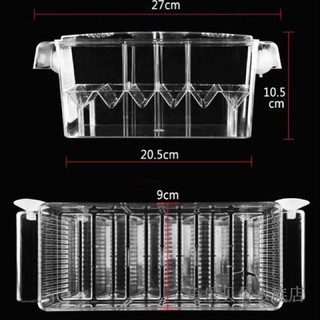 Lồng đẻ mica cho cá cảnh để cách ly và dưỡng cá con - lồng mica cá cảnh