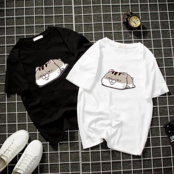 Áo thun unisex form rộng in mèo bụng bự chibi dễ thương vải dày mịn 2019T1102