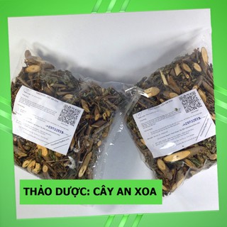 Cây An Xoa Thuốc Nam 💟FREESHIP💟 Giảm Ngay 20K Khi Nhập [DUOCL20K]