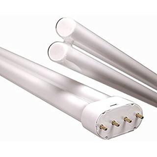 bóng đèn Kino moviefacula 55W 5500k
