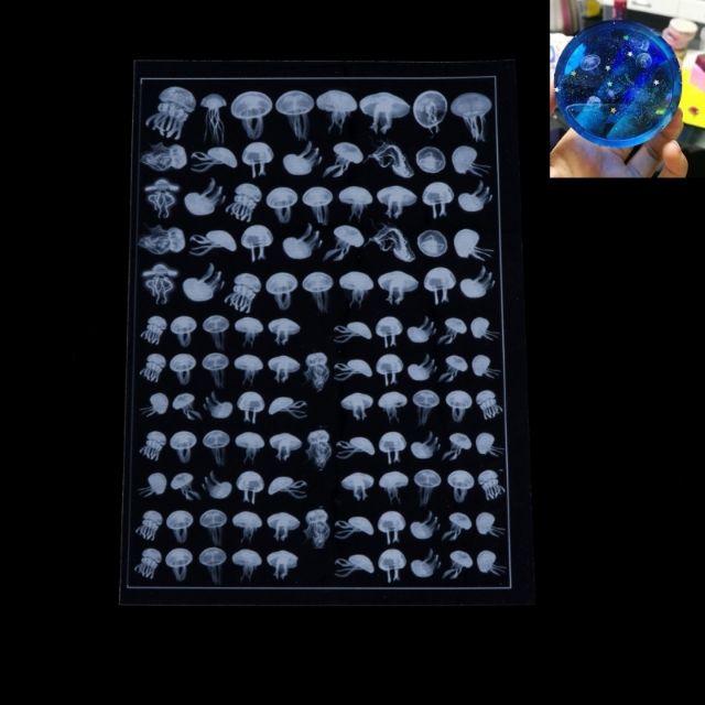 Bộ 3 miếng dán decal sticker sứa nhiều mẫu.