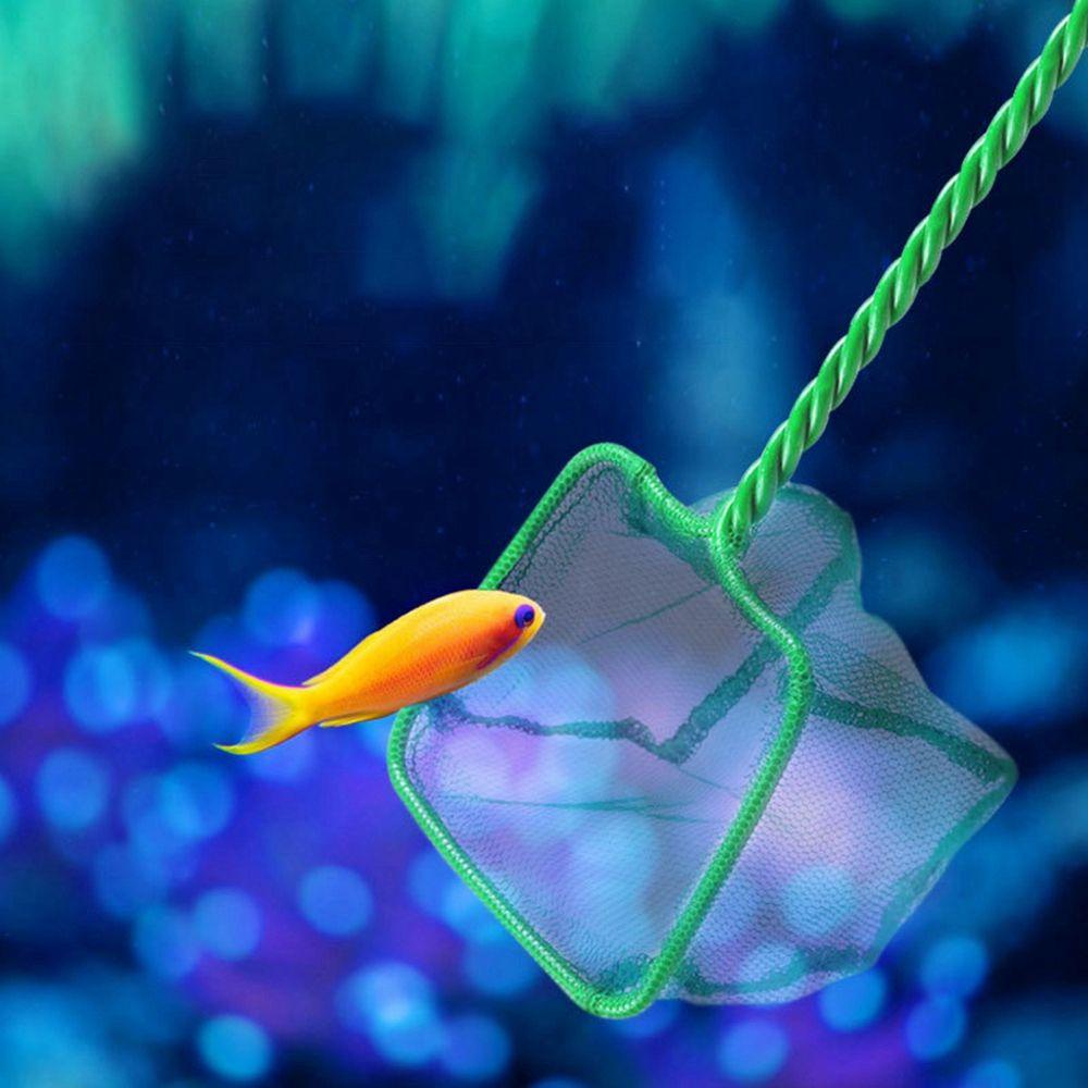 Vợt Lưới Vớt Cá Di Động Tiện Dụng Cho Bể Cá