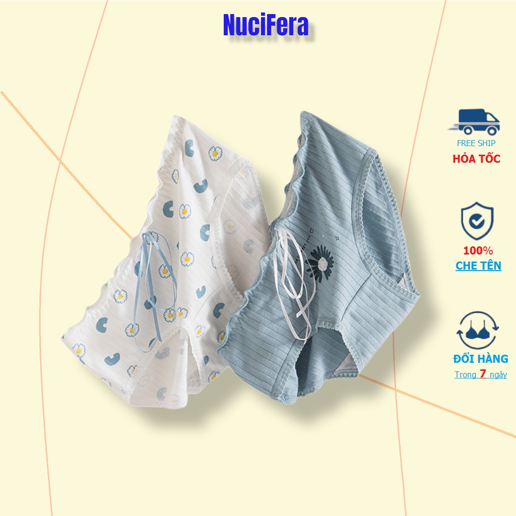 Set 5 quần lót nữ sinh cotton NuciFera hình Hoa cúc