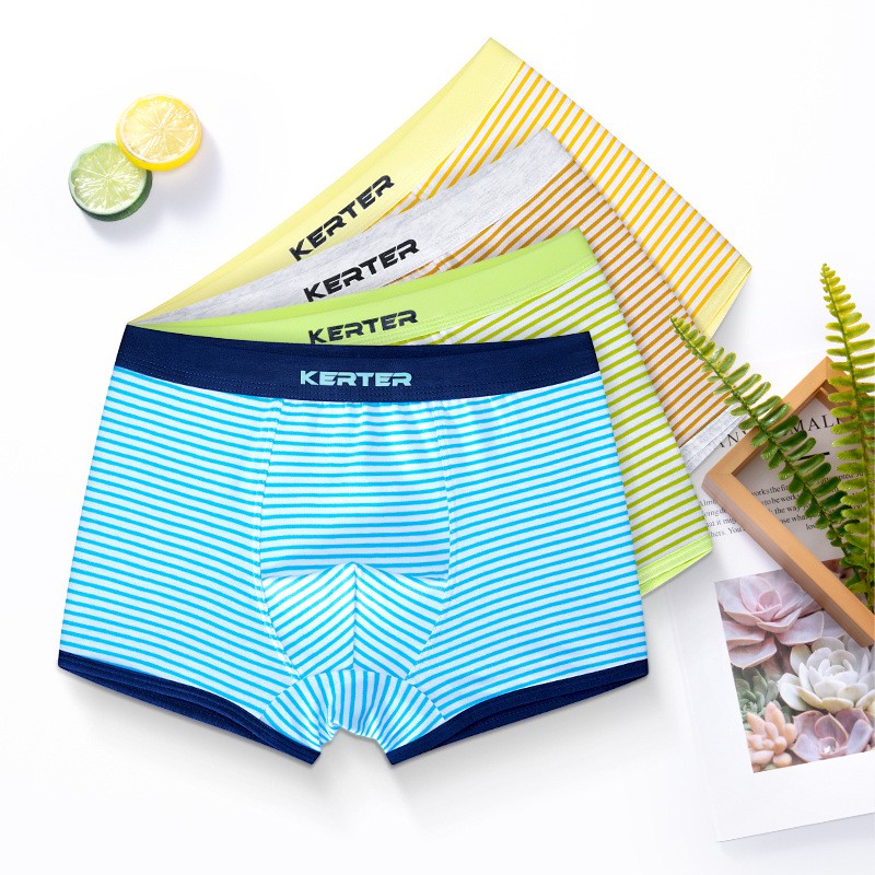 Bộ 2 Quần Lót Boxer Cotton Thời Trang Cho Bé Trai