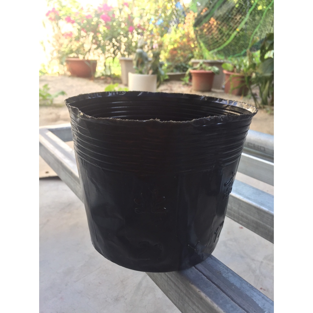 BẦU ƯƠM CÂY 21*17 ( DỊCH TRUYỀN CHO CÂY, KÍCH RỄ , MẦM CÂY XANH LÁ, LƯỚI CHE NẮNG...)