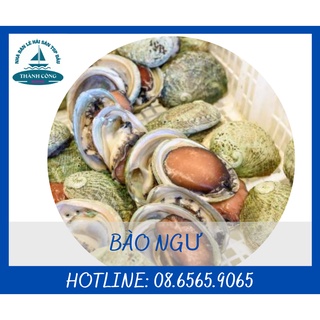 Bào ngư Hàn Quốc đông lạnh 1kg/giao ngay Hồ Chí Minh