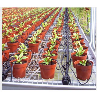 Bộ 4 que cắm nhỏ giọt mũi tên824