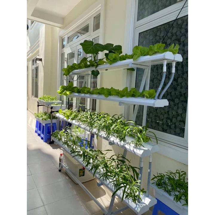 Dung dịch thủy canh Grow Master ăn lá cặp 2 lít pha loãng 350 lít nước