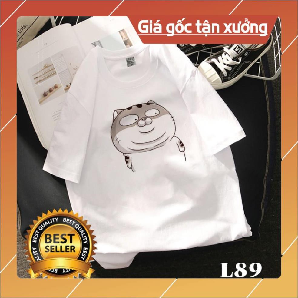 😍SALE HÈ😍 Áo Phông Đẹp Giá Rẻ Mèo Ami bụng bự siêu to khổng lồ