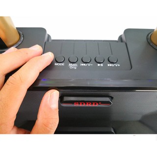 Loa Karaoke Bluetooth SDRD - SD301 KÈM 2 MIC