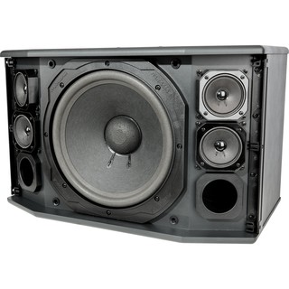 [Mã ELHACE giảm 4% đơn 300K] Loa Paramax Pro-C10