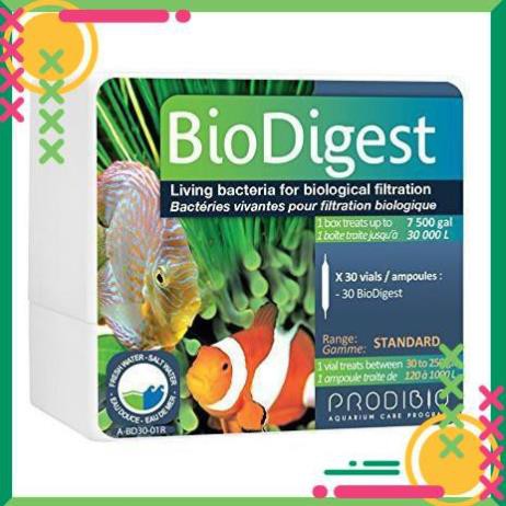 [Giá tốt] Prodibio BioDigest  - Bổ sung vi sinh sống cho hồ cá nước mặn và nước ngọt (Đơn vị: ống)