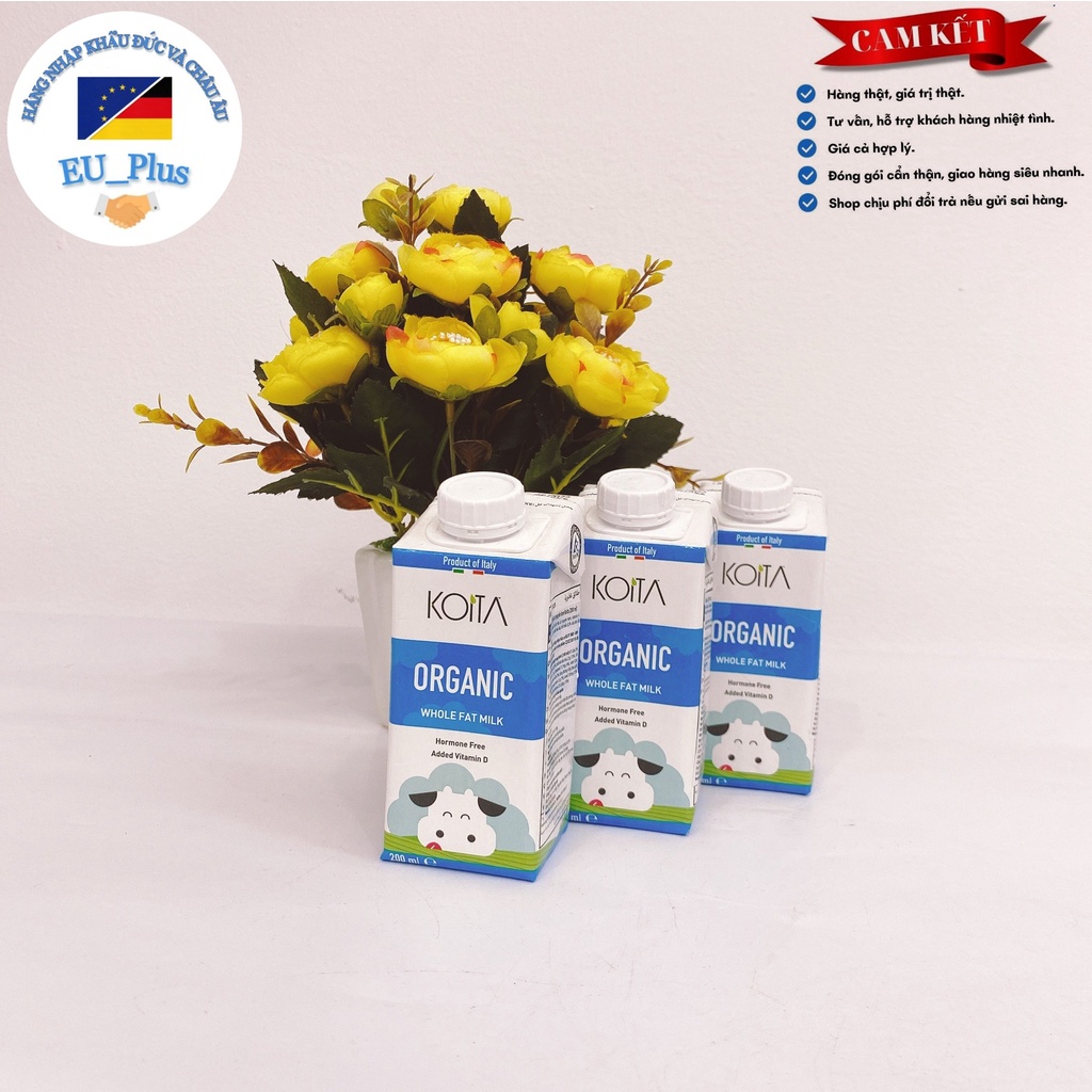 Sữa Koita 200ml Ý vị dâu, socola, nguyên kem không đường