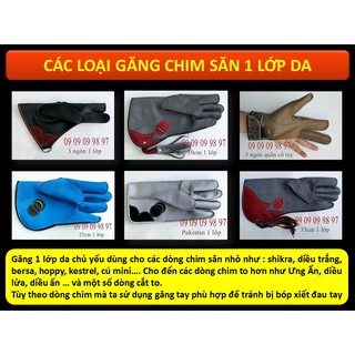 BAO TAY 1 LỚP CÁC LOẠI
