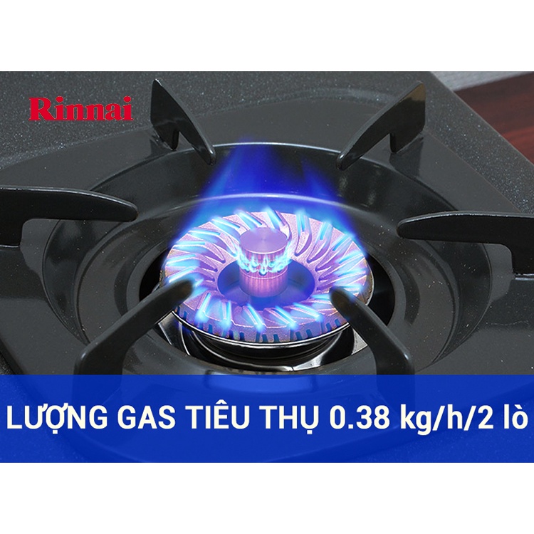 Bếp gas đôi Rinnai RV-365(G)N mặt men xám + Bộ dây van tự động ngắt Chính Hãng