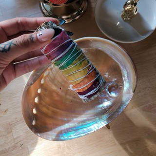 Vỏ ốc bào ngư và đế gỗ nhiều kích thước