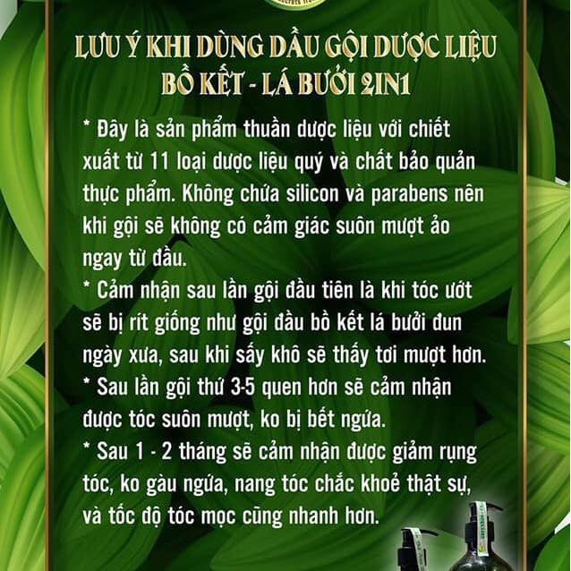 [ GIÁ HỦY DIỆT] Dầu gội dược liệu bồ kết GREENBON