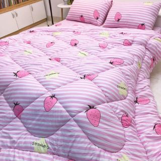 Set chăn phao cotton đũi