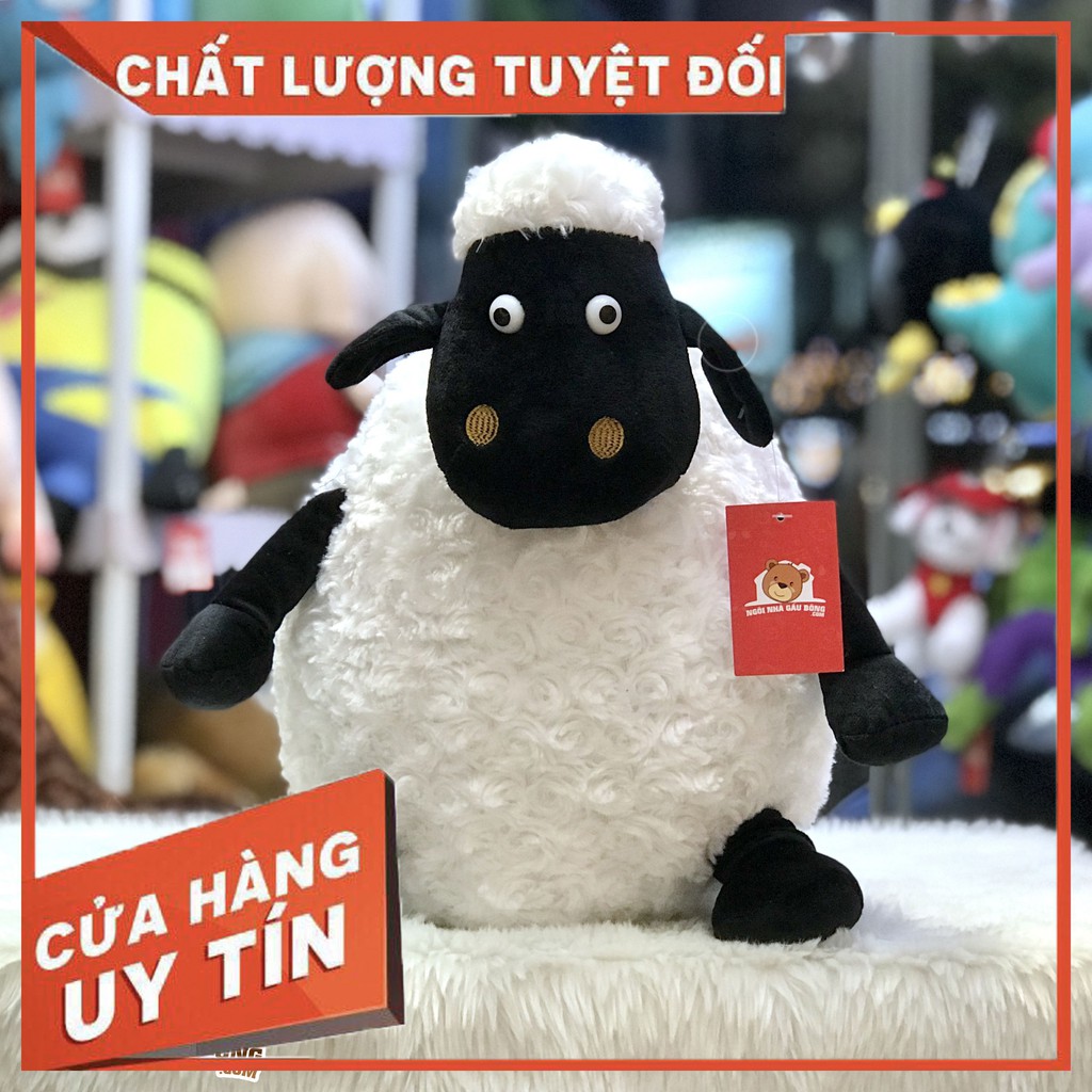 CỪU BÔNG BÉO CAO CẤP