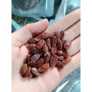 Hạt Dưa Tứ Hưng Loại 1 - Không Màu Có Vệ Sinh ATTP (500g - 1kg)