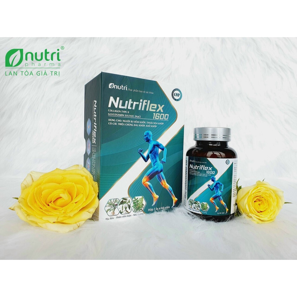 NutriFlex 1600 - Dưỡng khớp