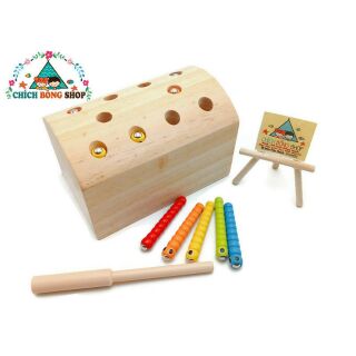 Bộ câu sâu gỗ nam châm