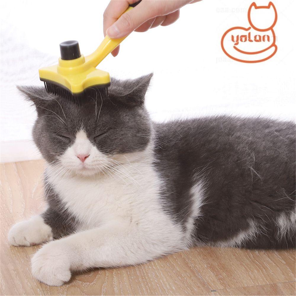 Lược chải lông mát xa cho thú cưng nhiều màu sắc tùy chọn