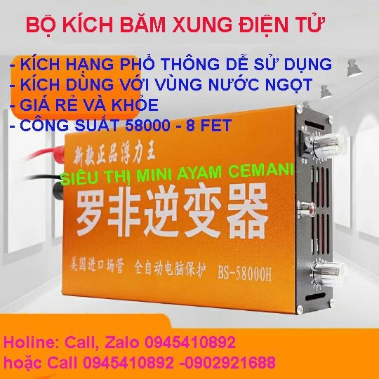 Bộ kích băm xung điện tử BS 58000 - BS58000