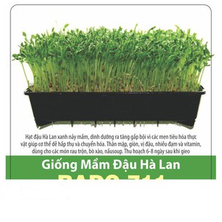 Hạt Giống Mầm Đậu Hà Lan 50gr