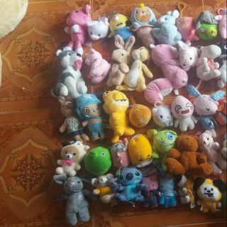 gau cua châu quỳnh