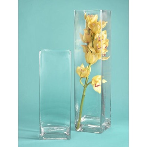 Bình thủy tinh trang trí, cắm hoa trụ VUÔNG 10x40cm