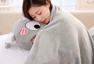 (Bỏ Sỉ) 20 Chăn Gối Gấu 3in1