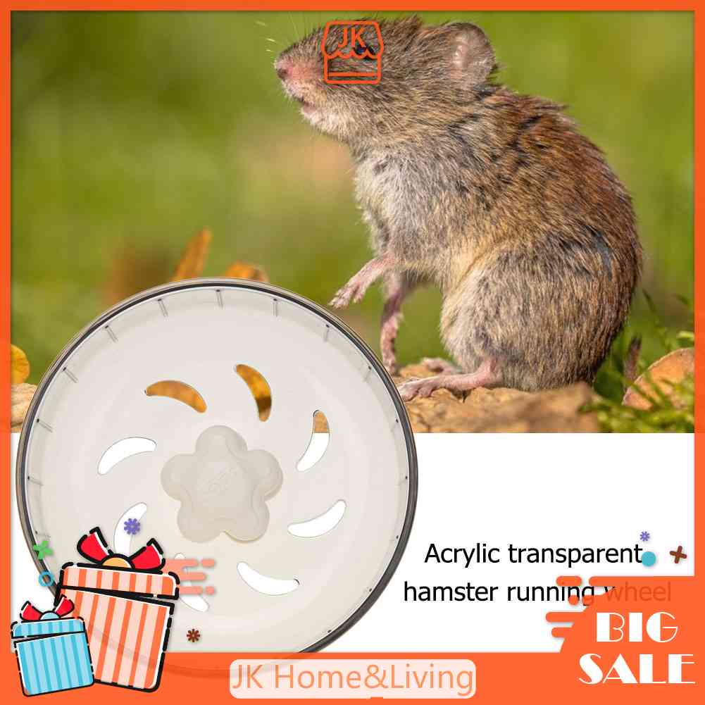 Bánh Xe Chạy Trong Suốt Cho Chuột Hamster