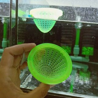 Phễu đựng trùn chỉ , rọ , rỗ đựng trùn chỉ cho cá ăn
