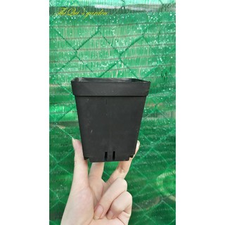 Chậu vuông đen size 9x9 cm (set 10 cái)
