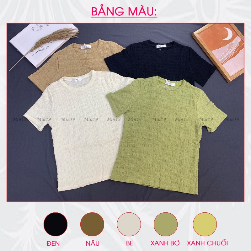 Áo Thun Nữ Tay Ngắn MIN19 Áo Phông Nữ Đẹp Cổ Tròn Dáng Ôm Vải Cotton Nhăn Màu Trắng Nâu Xanh Be Thời Trang Hàn Quốc | BigBuy360 - bigbuy360.vn