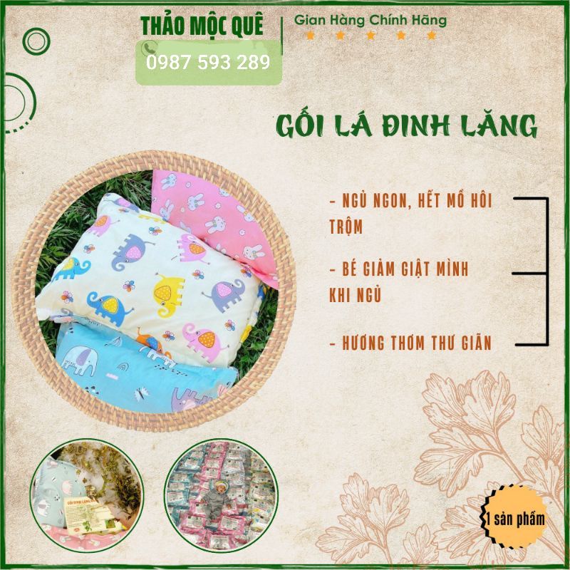 Gối lá đinh lăng ngăn mồ hôi trộm