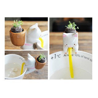 CHẬU TRỒNG CÂY MINI ĐỂ MIỆNG LY TỰ TƯỚI
