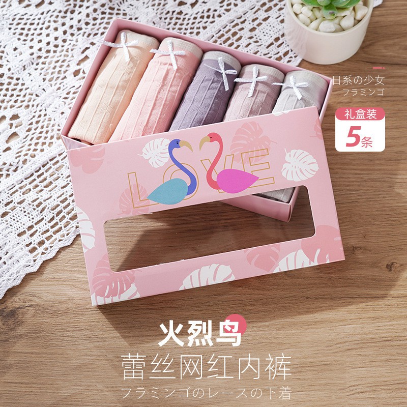Quần lót nữ NOVSET hộp 5 quần lót nữ thiên nga kháng khuẩn cao cấp