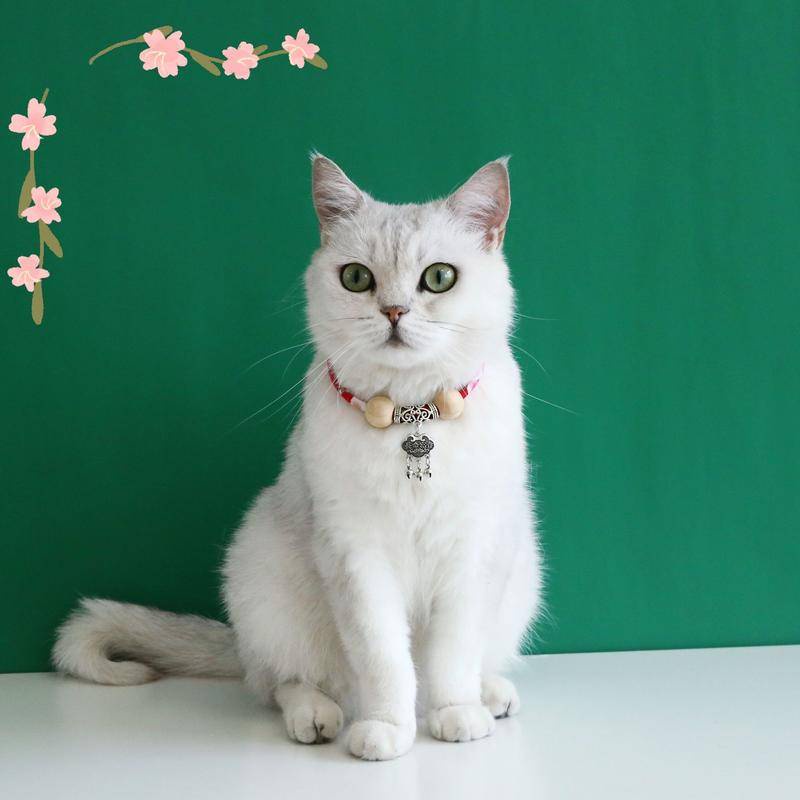 Vòng Cổ Cắm Trại Chống Bọ Chét Và Chống Gài Đi Kèm Chuông Phong Cách Dân Tộc Cho Thú Cưng