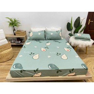 Ga trải giường cotton poly cao cấp