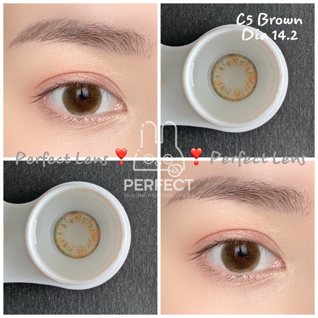 Link 1 (Giá 1 Chiếc) 14.2 (0.00 -> 8.00) Lens C5 Brown - Kính Áp Tròng