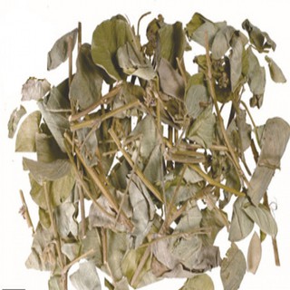 1kg kim tiền thảo