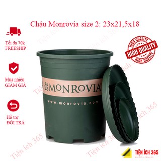 Chậu nhựa trồng cây cao cấp Monrovia cỡ số 2 kèm đĩa lót đáy .