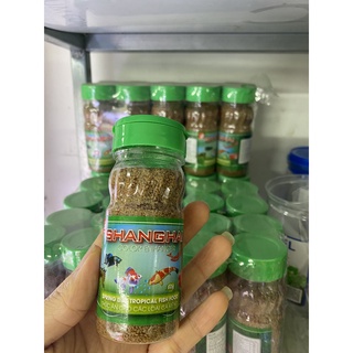 Cám cá cảnh Sanghai