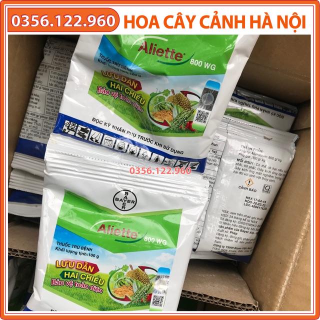 CHẾ PHẨM ĐẶC TRỊ NẤM BỆNH TRÊN CÂY TRỒNG ALIETTE - GÓI 100GRAM