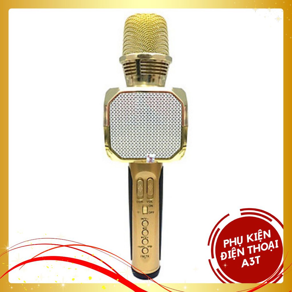 Mích hát karaoke cao cấp 2020sd10